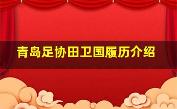 青岛足协田卫国履历介绍