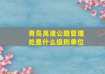 青岛高速公路管理处是什么级别单位