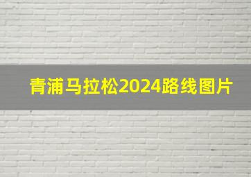 青浦马拉松2024路线图片