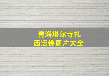 青海塔尔寺扎西活佛图片大全