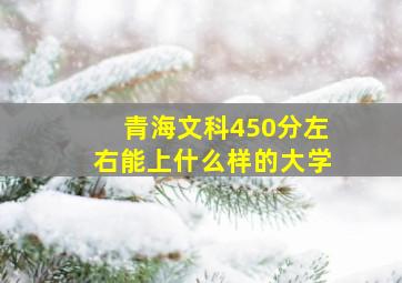 青海文科450分左右能上什么样的大学