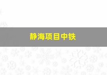 静海项目中铁