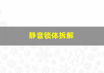 静音锁体拆解