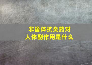 非甾体抗炎药对人体副作用是什么