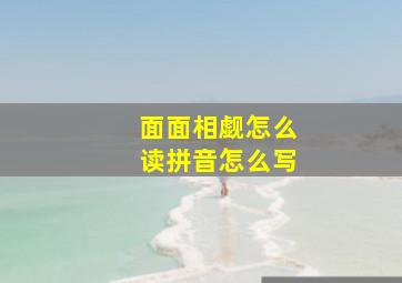 面面相觑怎么读拼音怎么写