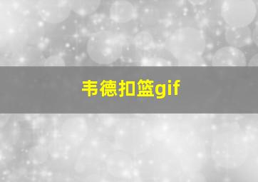 韦德扣篮gif