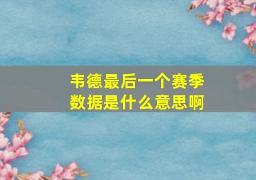 韦德最后一个赛季数据是什么意思啊