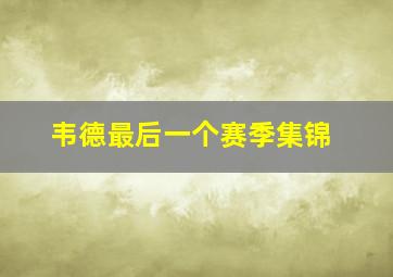 韦德最后一个赛季集锦