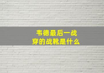 韦德最后一战穿的战靴是什么