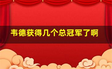 韦德获得几个总冠军了啊