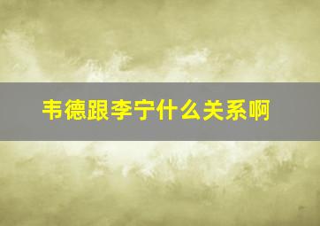 韦德跟李宁什么关系啊