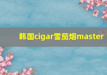 韩国cigar雪茄烟master