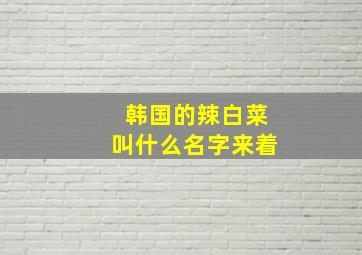 韩国的辣白菜叫什么名字来着