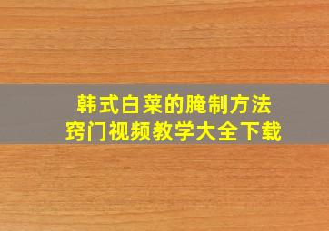 韩式白菜的腌制方法窍门视频教学大全下载