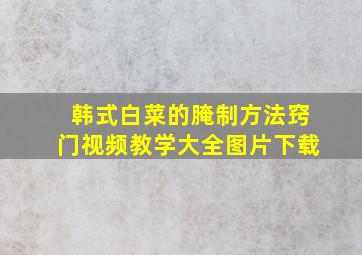 韩式白菜的腌制方法窍门视频教学大全图片下载