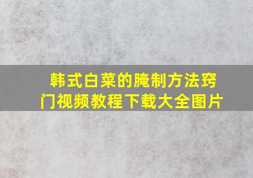 韩式白菜的腌制方法窍门视频教程下载大全图片