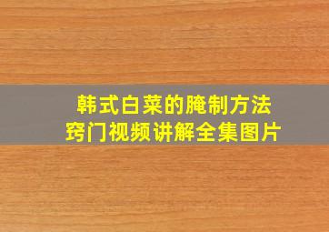 韩式白菜的腌制方法窍门视频讲解全集图片