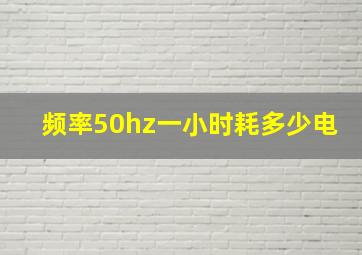 频率50hz一小时耗多少电