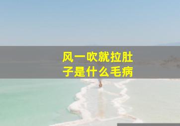 风一吹就拉肚子是什么毛病