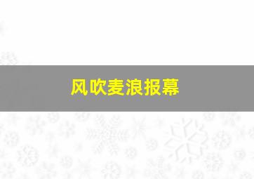 风吹麦浪报幕