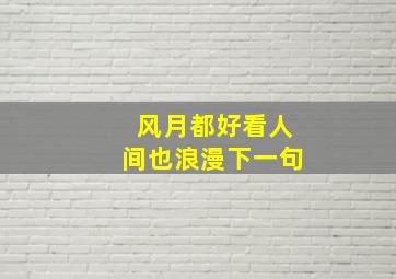 风月都好看人间也浪漫下一句