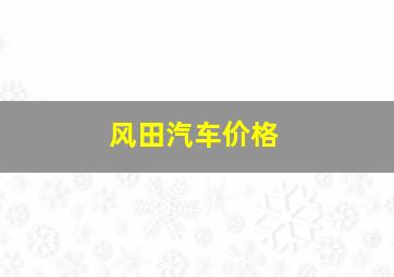 风田汽车价格