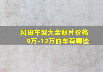 风田车型大全图片价格9万-12万的车有哪些