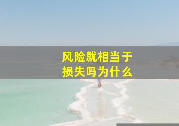 风险就相当于损失吗为什么