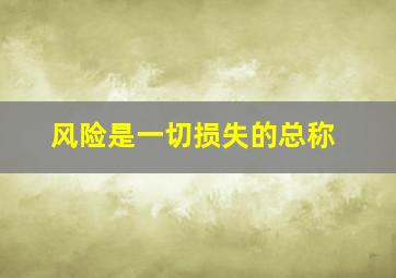 风险是一切损失的总称