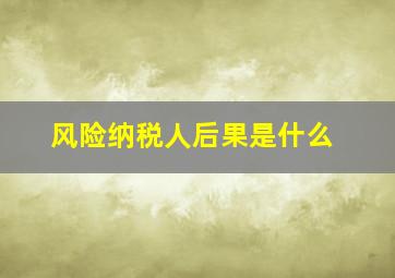 风险纳税人后果是什么