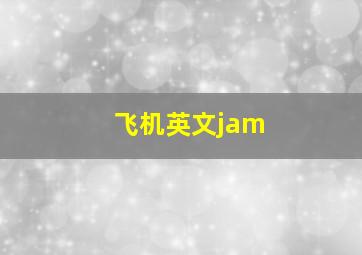 飞机英文jam