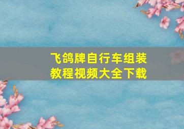 飞鸽牌自行车组装教程视频大全下载