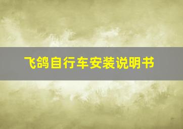 飞鸽自行车安装说明书