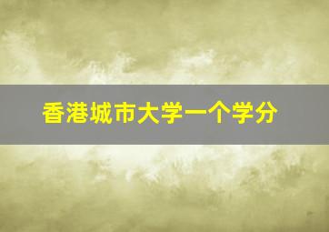 香港城市大学一个学分