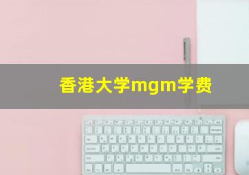 香港大学mgm学费