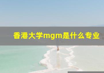 香港大学mgm是什么专业