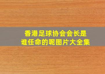 香港足球协会会长是谁任命的呢图片大全集