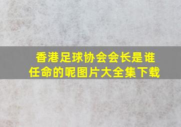 香港足球协会会长是谁任命的呢图片大全集下载