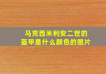 马克西米利安二世的盔甲是什么颜色的图片