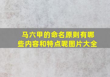 马六甲的命名原则有哪些内容和特点呢图片大全