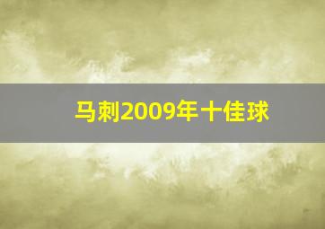 马刺2009年十佳球