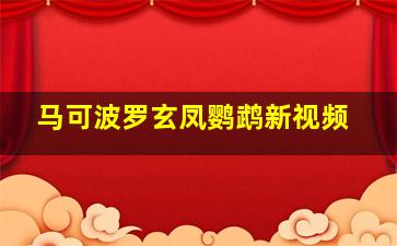 马可波罗玄凤鹦鹉新视频