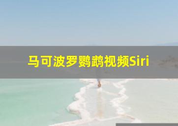 马可波罗鹦鹉视频Siri