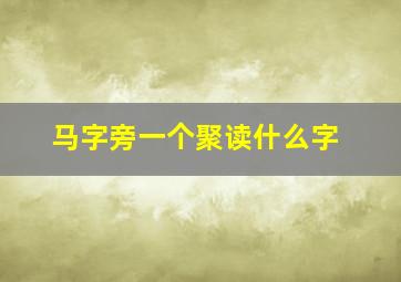 马字旁一个聚读什么字