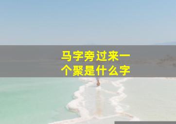 马字旁过来一个聚是什么字