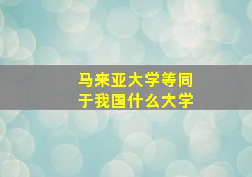 马来亚大学等同于我国什么大学