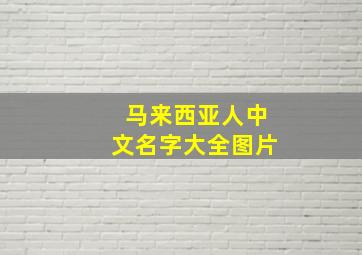 马来西亚人中文名字大全图片