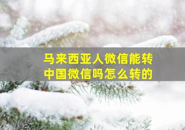 马来西亚人微信能转中国微信吗怎么转的