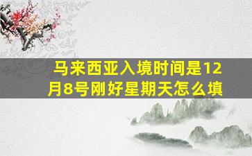 马来西亚入境时间是12月8号刚好星期天怎么填