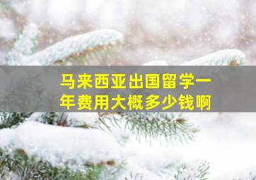 马来西亚出国留学一年费用大概多少钱啊